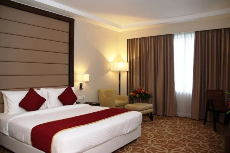 Y N Hotels
