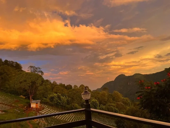 Luxury Double room with balcony and with garden view