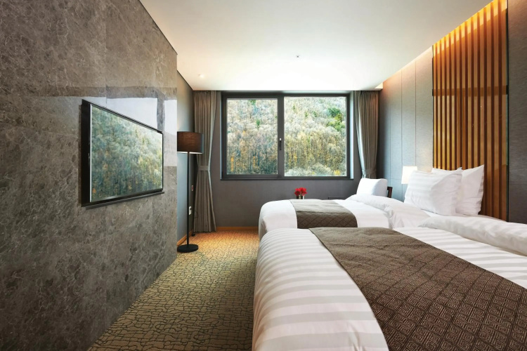 Traum Valley Hotel - Andong-si