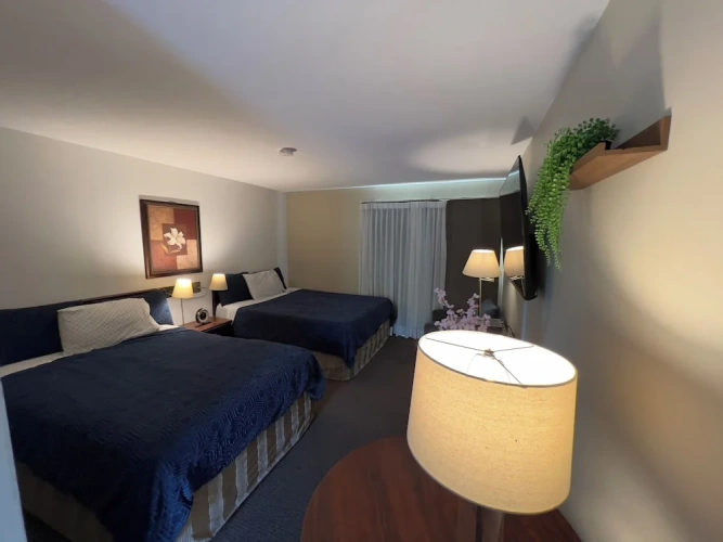 Premier Quadruple Basement room