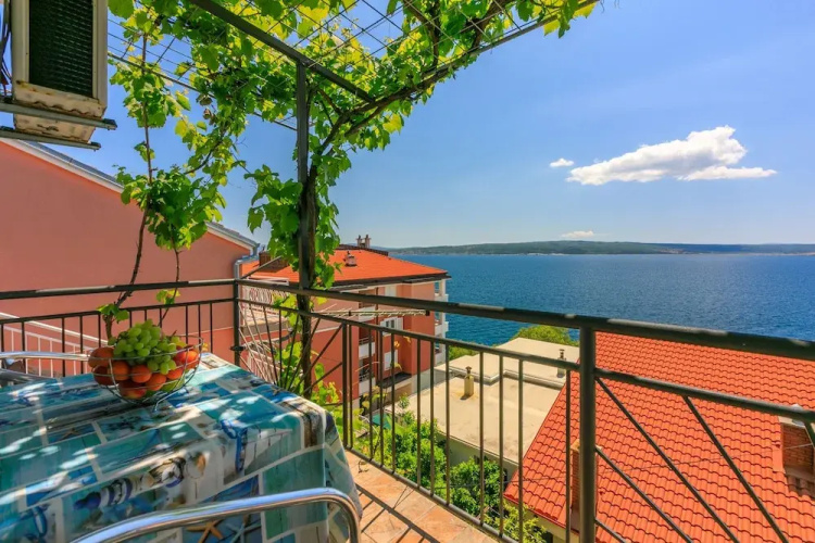 Apartments Brana