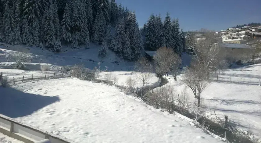 Guest House Orletz