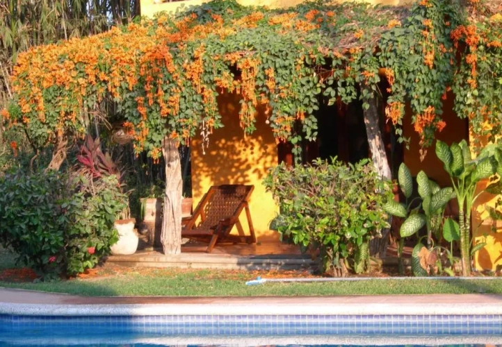 Standard Double room with pool view