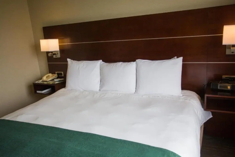 Deluxe Double Suite