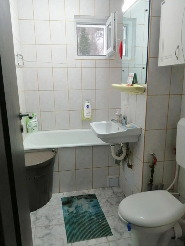 Apartment Valea Azugii