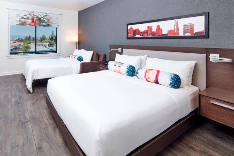 Standard Single Penthouse room