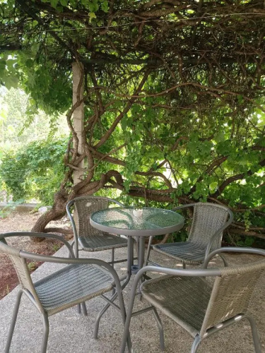 Apartman Dalmatinka