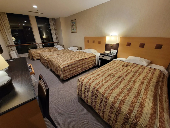 Hotel Osaka Castle