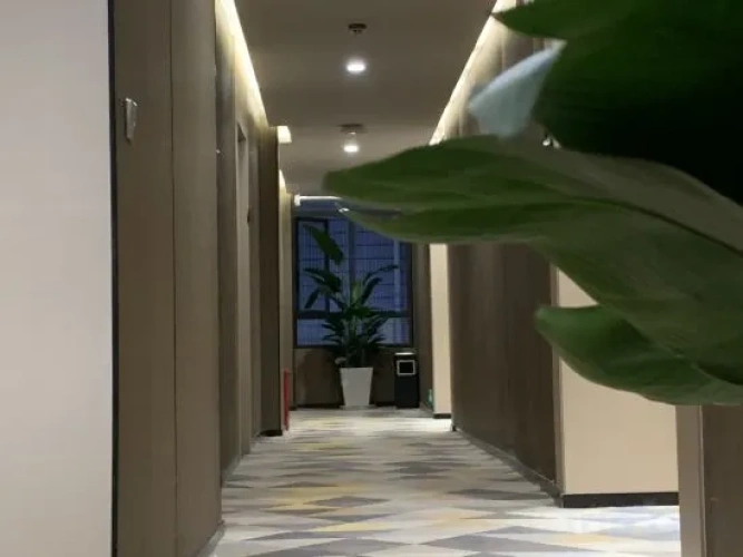 Hotel rooms