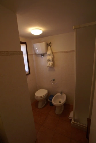 1 Bedroom Classic Double Basement room