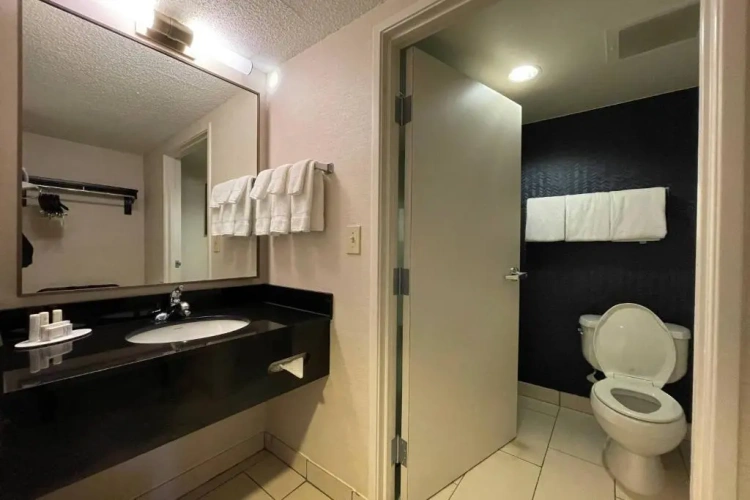 1 Bedroom Suite