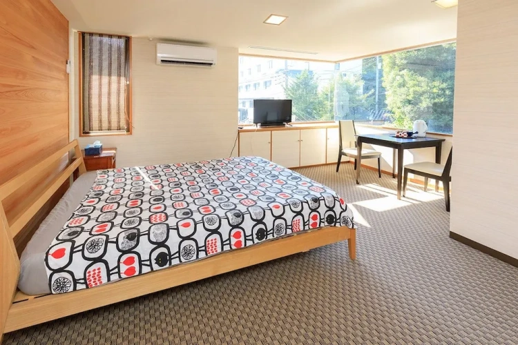 Standard Double room with mountain view