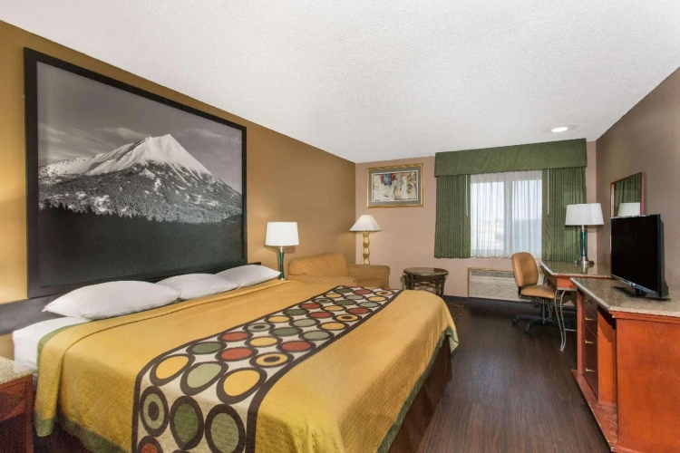 Standard Double room