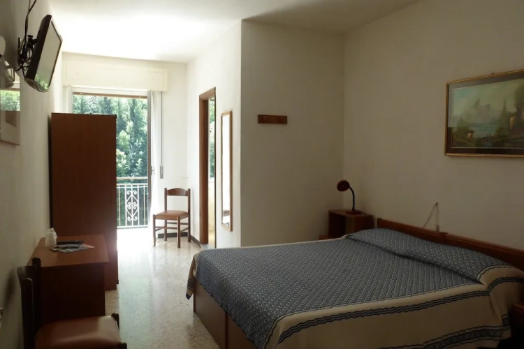 Standard Double room with balcony and with view