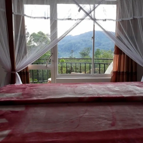 Luxury room