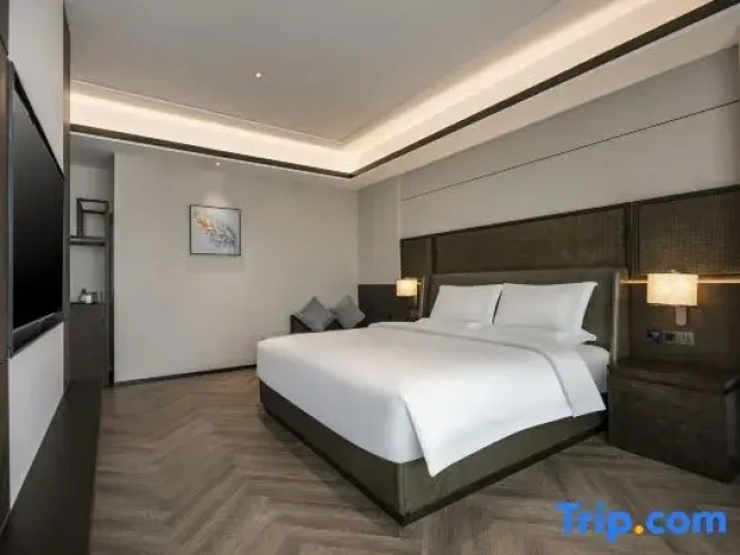 Comfort Suite