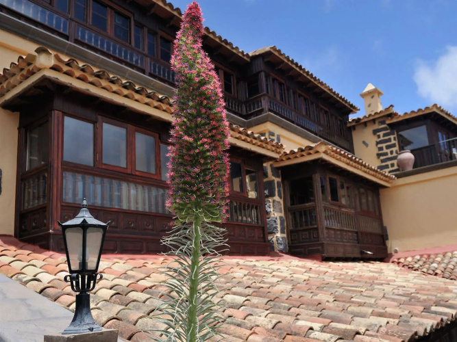 Karat El Nogal Hotel Boutique & Spa *Only Adults - Tenerife