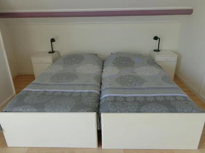 Standard Twin room with balcony