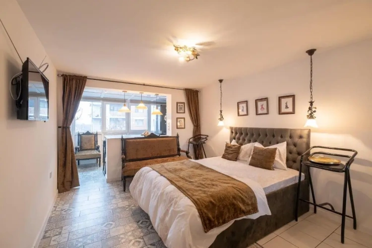 1 Bedroom Apartment