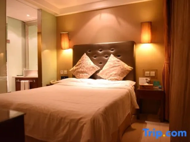Standard Double Basement room