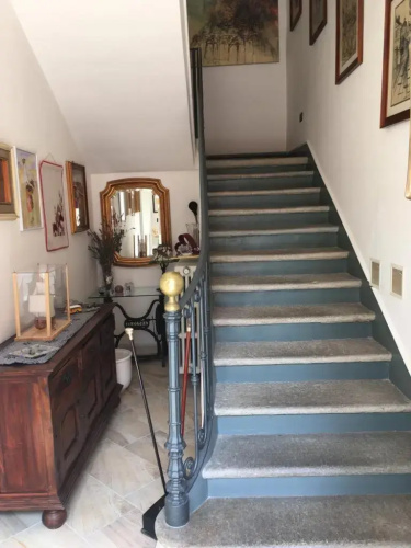 Luminosa Suite