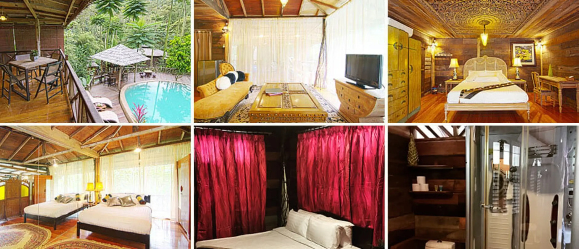 Fig Tree Hill Resort