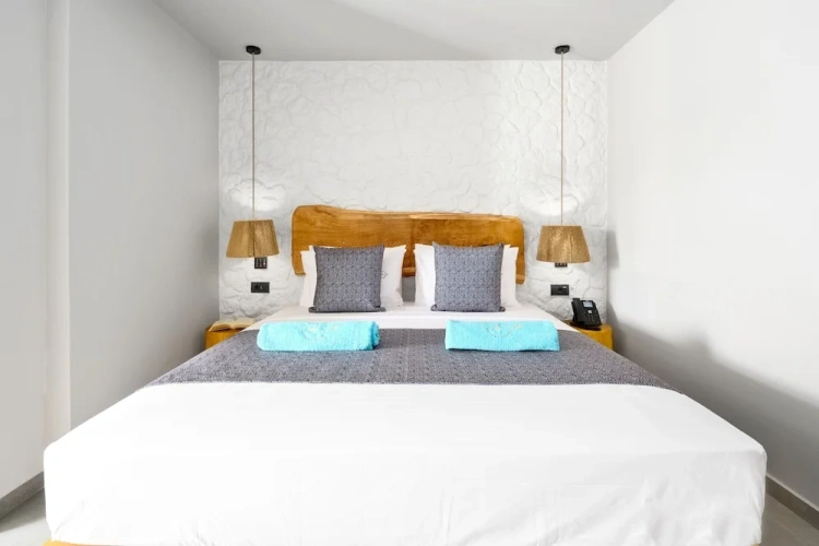 Standard Double room with balcony and with garden view