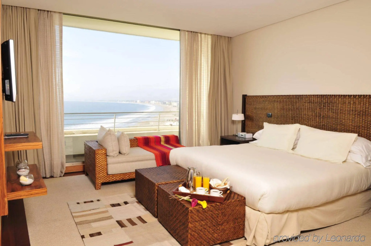 Enjoy Coquimbo photo 6