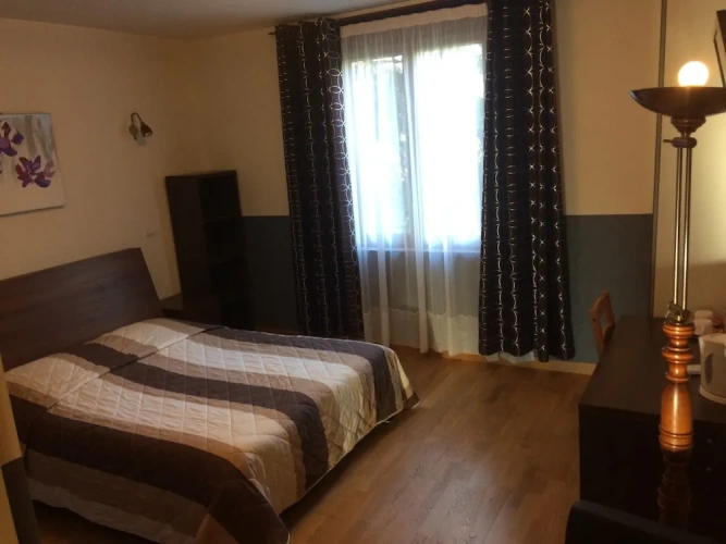 Standard Double room with garden view