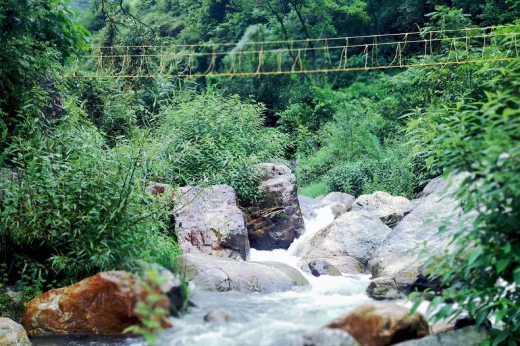 Nainital River Camp
