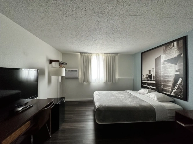 Standard Quintuple room
