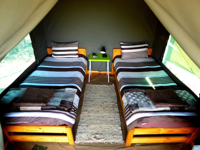 Thorn Tree Bush Camp