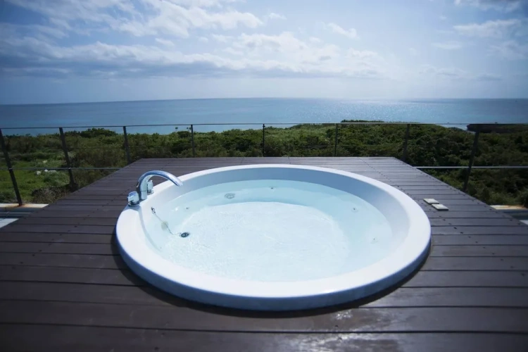 Standard Double room with balcony and with ocean view