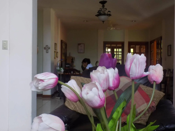 Hotel Los Pinos