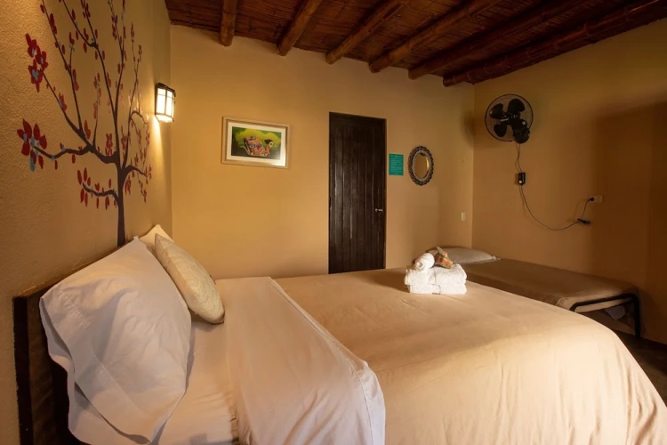 Comfort Double room with balcony and with garden view