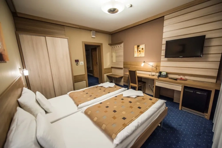 Standard Double room with mountain view