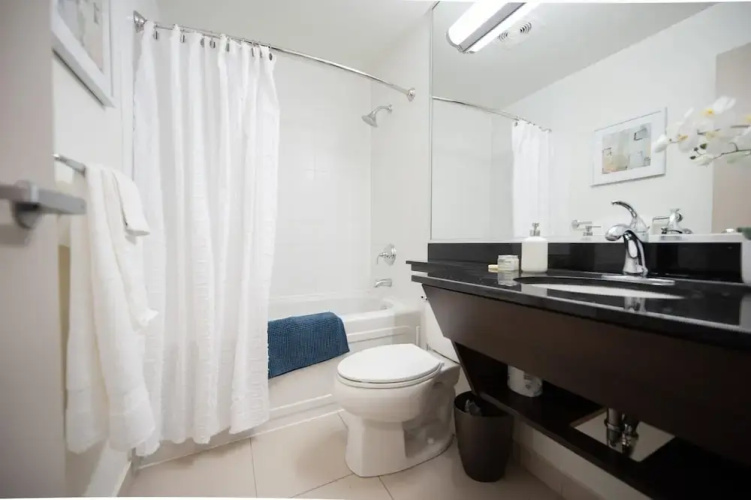 Luxury Downtown One Bedroom Suite