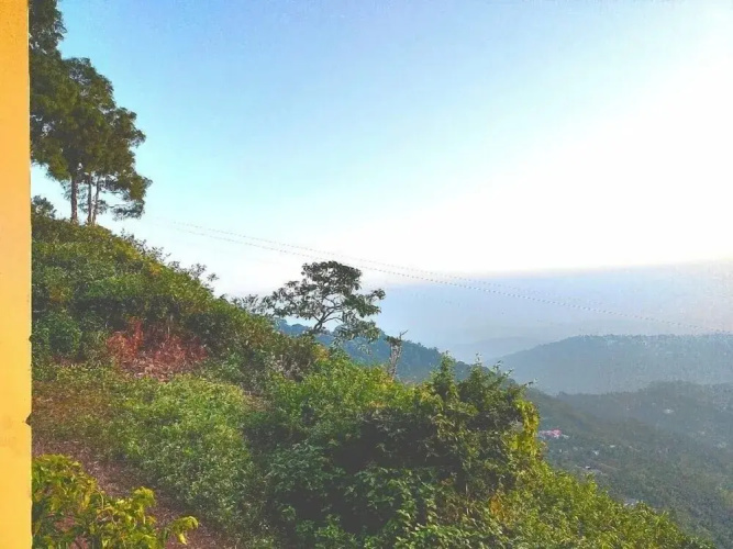 The Cloud Homestay