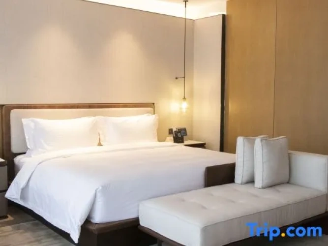 Twin Family Suite