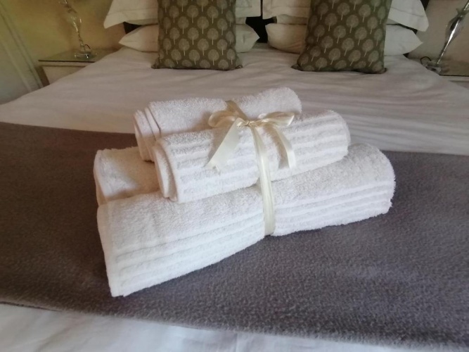 Deluxe Double Family room