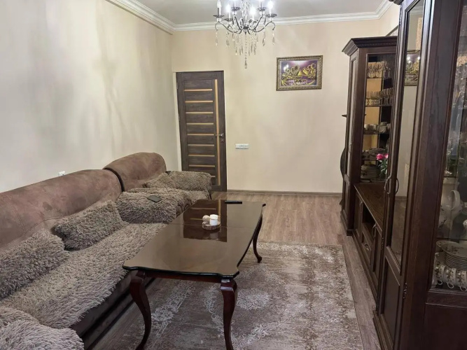 Comfy Apartment