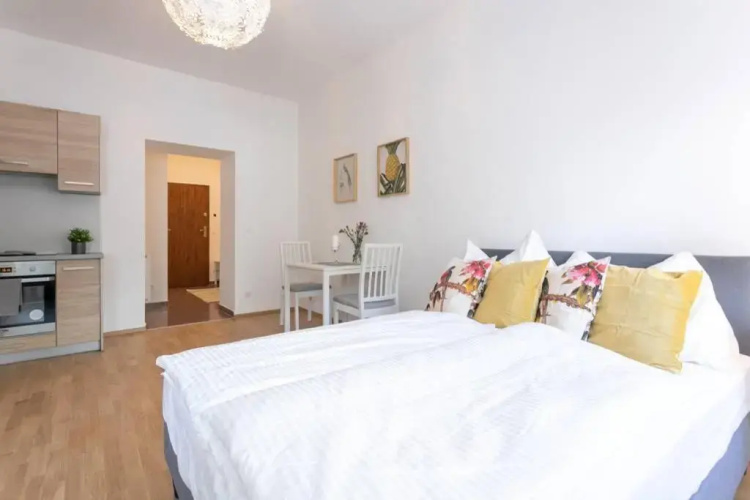 Studio-Apartment between Schoenbrunn & the City Center (26)