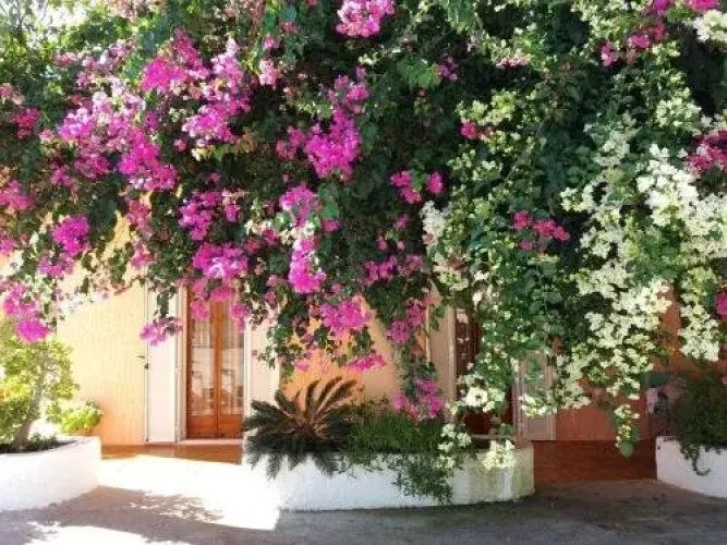 Constantinos Apartments