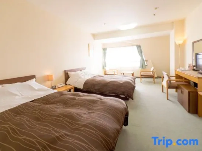 Standard Twin room with ocean view