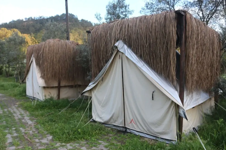 Family Tent