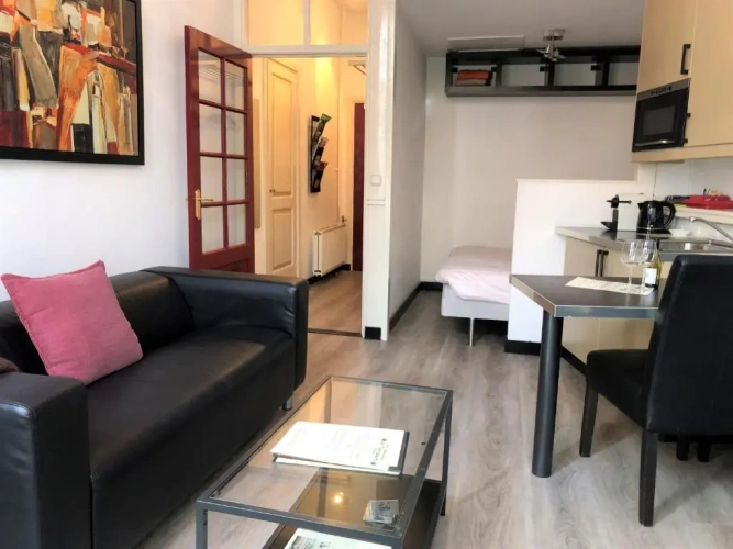 Studio with balcony and with view