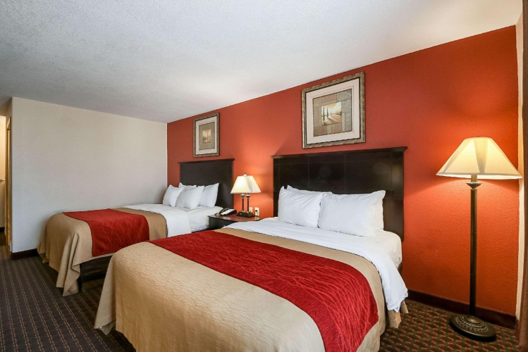 Quadruple Suite