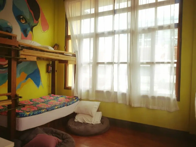 Bed in Dorm