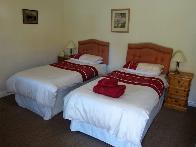 Deluxe Double Basement room