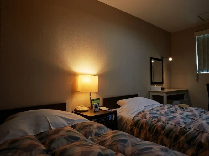 Standard Twin room with city view